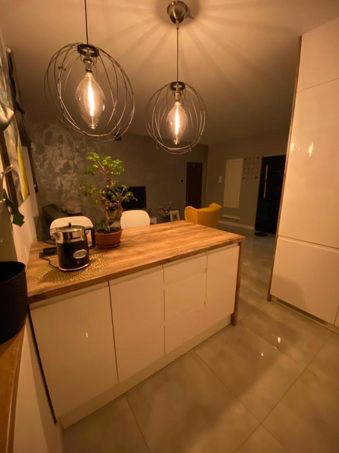 Apartament Centrum- Art&Design コニン エクステリア 写真